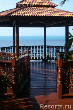 Coconut Paradise 20